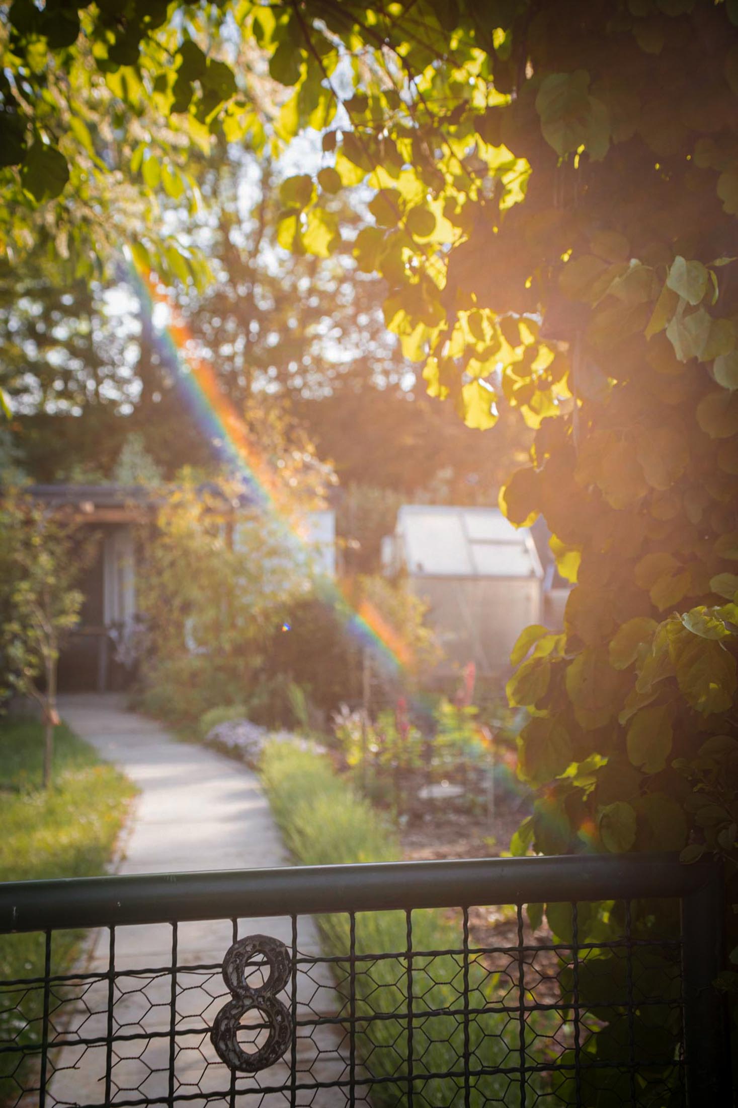Gartenweg mit Bäumen und Sonnenlicht, Regenbogenreflex in der Luft